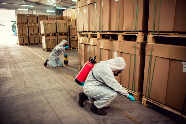 Best Commercial Pest Control Services  in The Colony, TX
