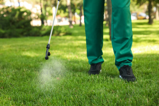 Best Local Pest Control Services  in The Colony, TX