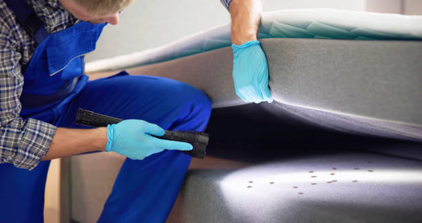 Pest Prevention Services in The Colony, TX